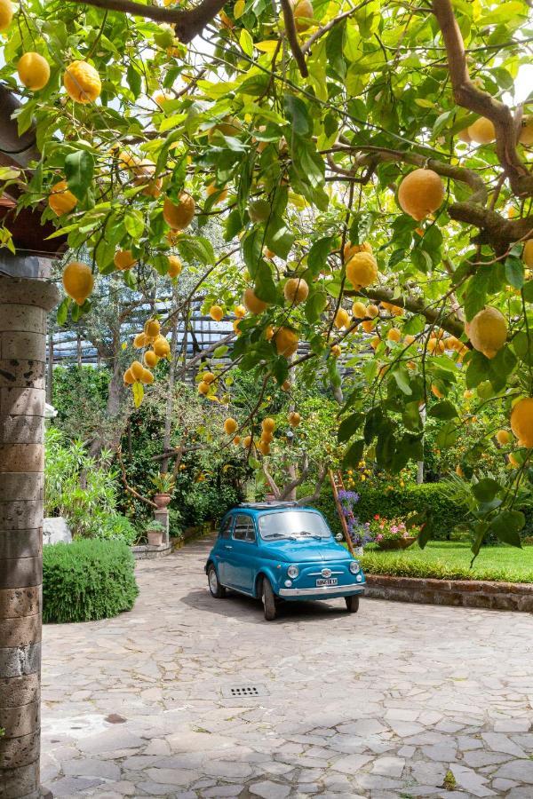 Villa Maresca B&B ピアーノ・ディ・ソッレント エクステリア 写真