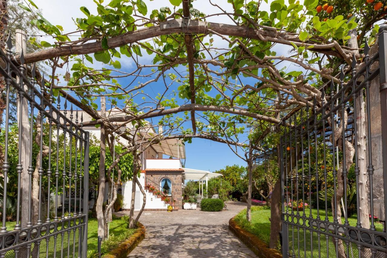 Villa Maresca B&B ピアーノ・ディ・ソッレント エクステリア 写真