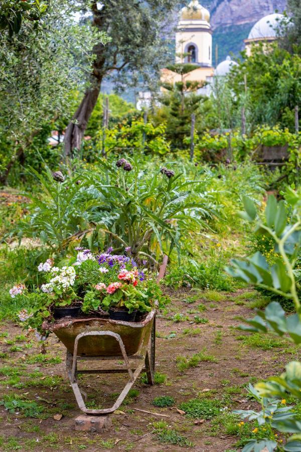 Villa Maresca B&B ピアーノ・ディ・ソッレント エクステリア 写真