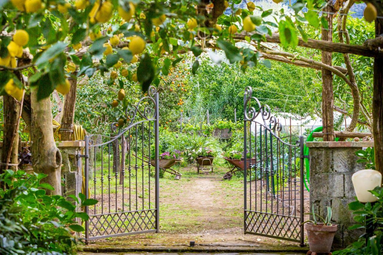 Villa Maresca B&B ピアーノ・ディ・ソッレント エクステリア 写真