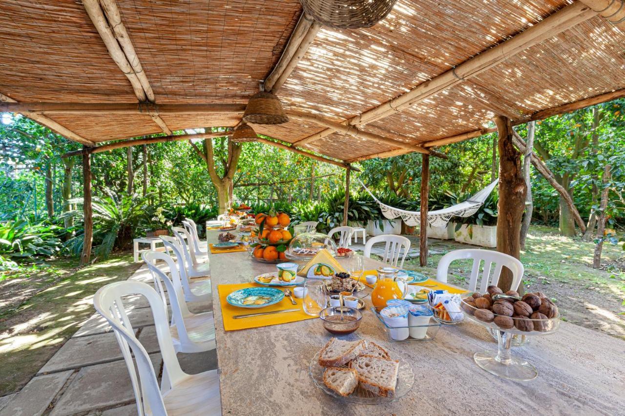 Villa Maresca B&B ピアーノ・ディ・ソッレント エクステリア 写真