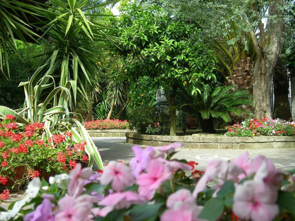 Villa Maresca B&B ピアーノ・ディ・ソッレント エクステリア 写真