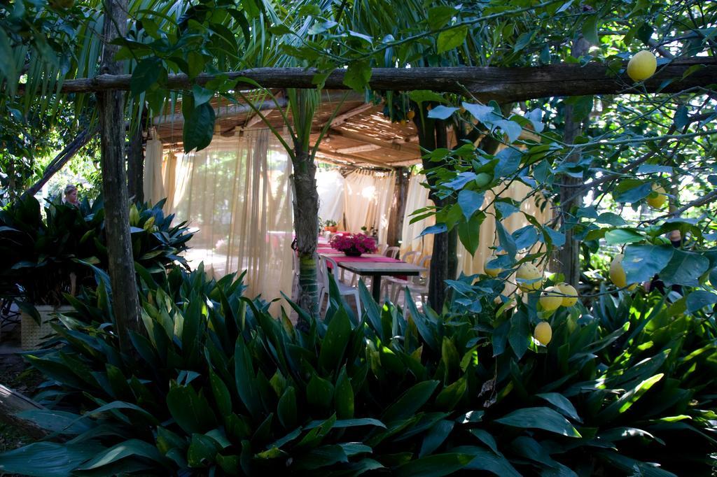 Villa Maresca B&B ピアーノ・ディ・ソッレント エクステリア 写真